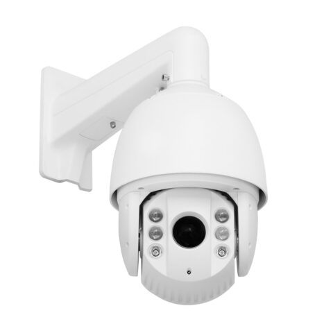 Woman Cutton T-shirt